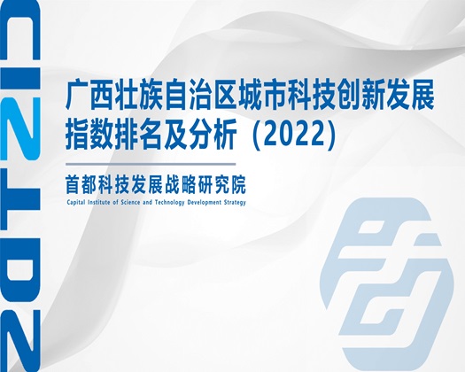 好爽BB好厉害【成果发布】广西壮族自治区城市科技创新发展指数排名及分析（2022）